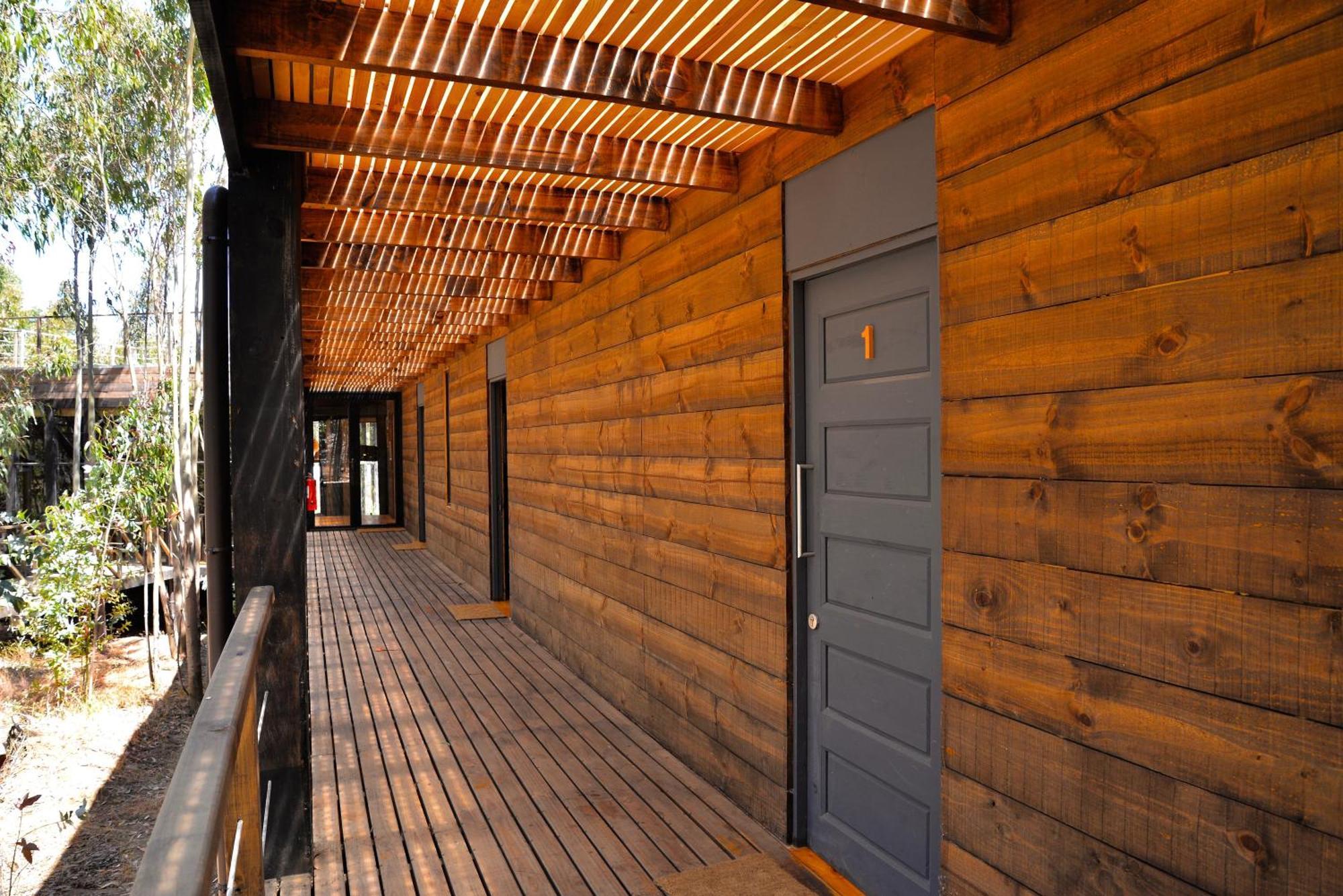 Tripanko Lodge & Bungalows بتشيلمو الغرفة الصورة