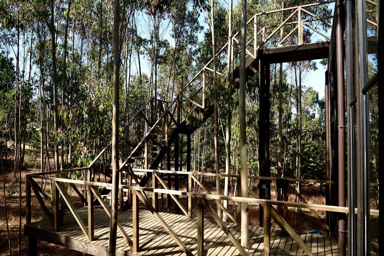 Tripanko Lodge & Bungalows بتشيلمو المظهر الخارجي الصورة