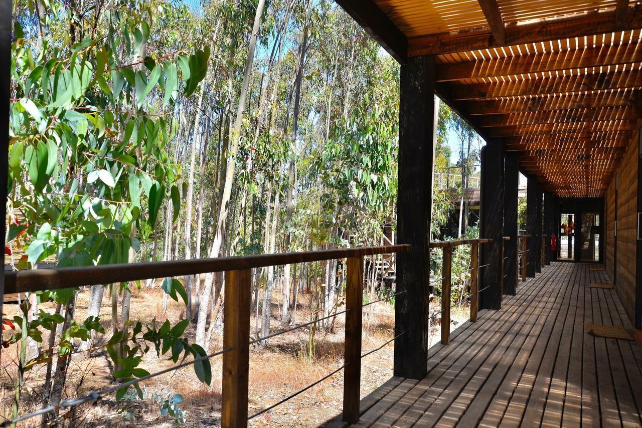 Tripanko Lodge & Bungalows بتشيلمو المظهر الخارجي الصورة