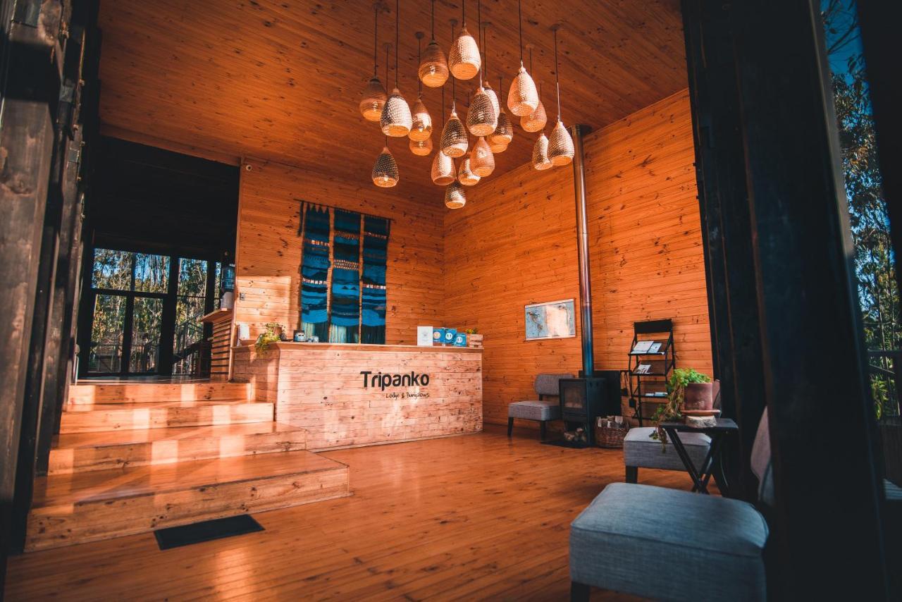 Tripanko Lodge & Bungalows بتشيلمو المظهر الخارجي الصورة
